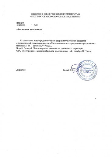 Приказ на директора.jpg